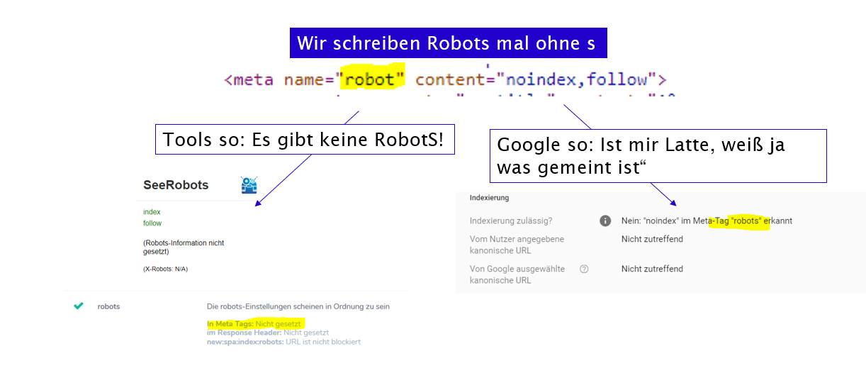 Fehlbenennung des Robots-Tag